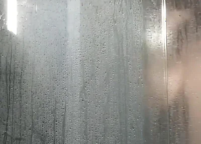 See What I Did in the Shower, Caught in the Act by the Other Guys