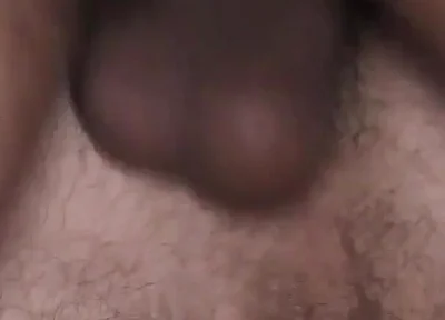 Breeding in Milan - with Bo Bailey and Will Hose