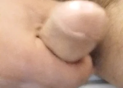 Stay Close to My Penis