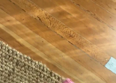 I got a little too excited