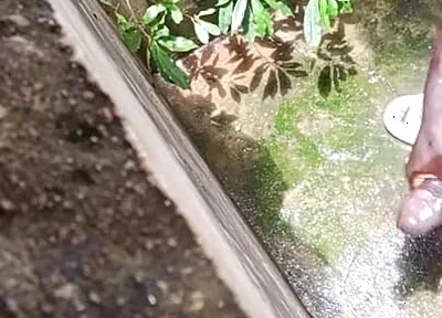 BBC Creampies on the Floor