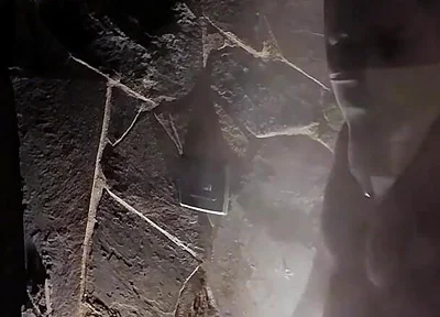 Steamy Asian Muscle God: Hot Tub Flex, Ass Tease & Poolside Cum Explosion