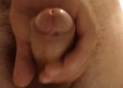 I Will Grant the Wish of One of You.