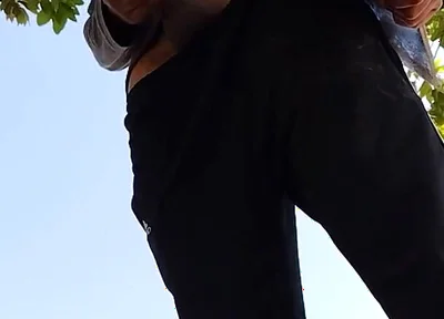 A Normal Day in the Park