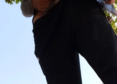 A Normal Day in the Park