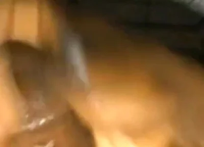 Solo Dick Massage Intense Cumshot