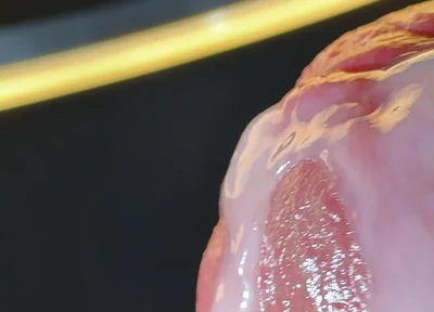 Wet Penis Gets Masturbated