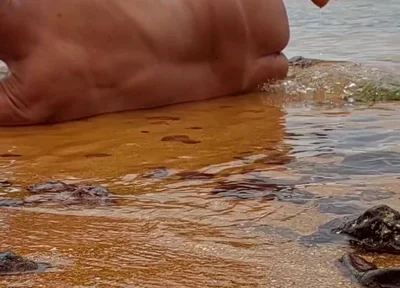 Ladysilva on the Beach Getting Naked What a Hot Tanned Ass with a Sexy Mark