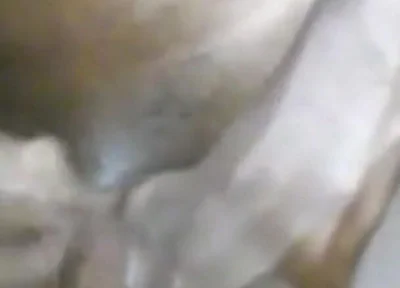 Cumming Hard Stroking My BBC