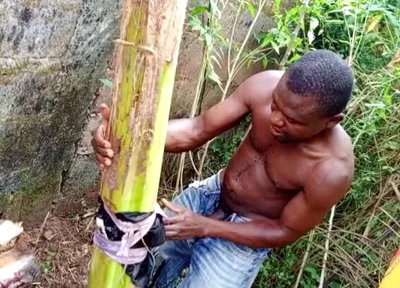 F*** Your Health Dick Out of the Cook