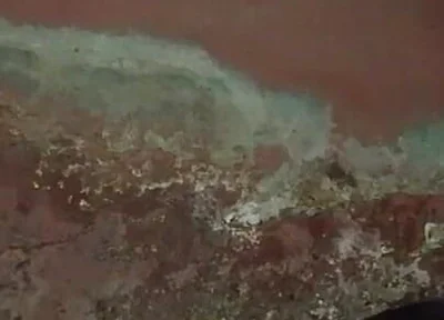 The Dark View of African Black Guy's Masturbation