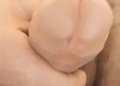 Do U Want Me to Cum in Your Mouth 2