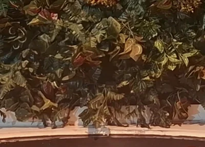 Bath Time Challenge - Bear Control in the Tub