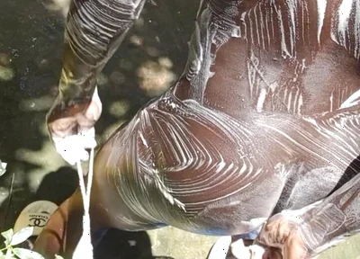 Heavy Wet and Slippery Huge Black Cock Wants to Cum on the Floor