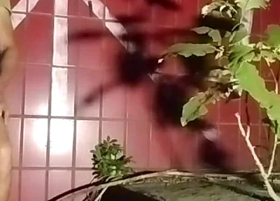 Breastfeeding Stranger on the Street