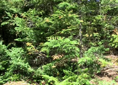 An Outdoor Cum Eruption!