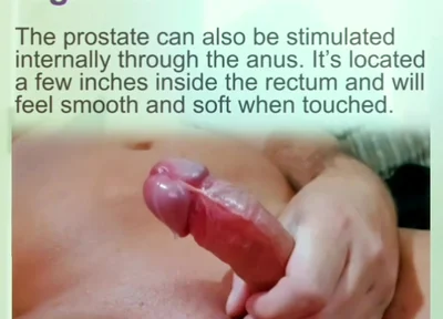 Prostate Orgasams Anal