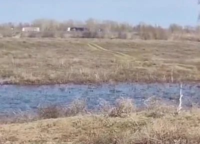 Fuck Me on the Side of the Road, Shove a Big Cock with Cum up My Ass