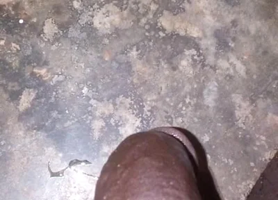 I Own Weak White Bois with My Superior