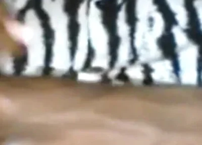 Passionately Stroking Edging My BBC Moaning Groaning