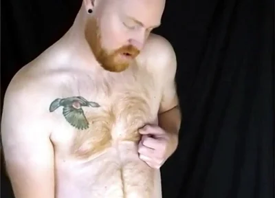 You Like Lookin' at This Fuzzy Ginger Fella?