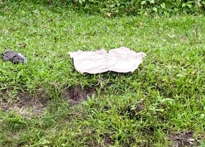 Enjoying Alone in Jungle Indian Young Boy