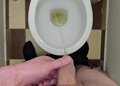 Pissing to the Toilet