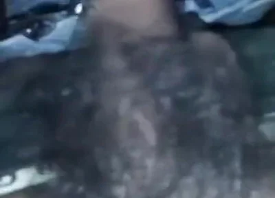Sexy Video