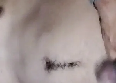 Ass Hole Show