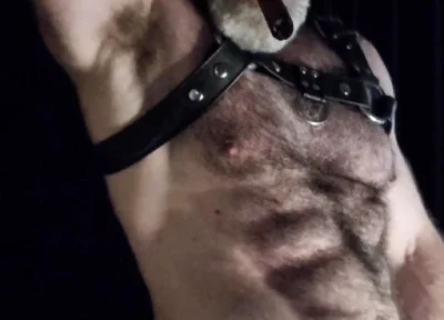 Hairy Muscle Leather Stepdaddy Showing off