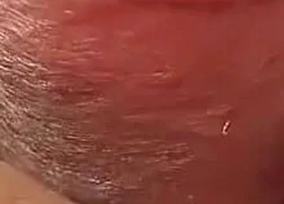 Compilation of Several of My Recent Cumshots
