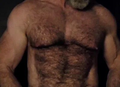 Hairy Muscle Bear Showing off