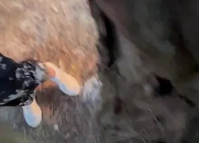 Amateur Guys Cruising for Sex