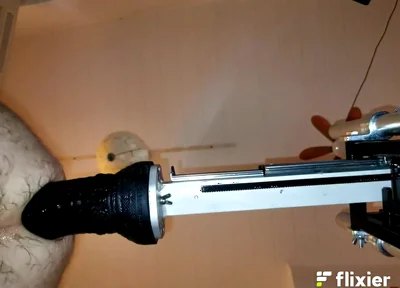 Mr. Hankey's Dragon Dildo Xl Full Insertion Doggy Anal Fucking Machine
