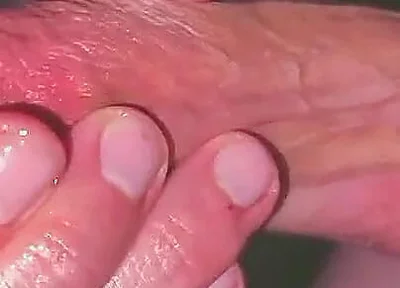 Famous Monster Cock Streamer Forgot His Webcam on