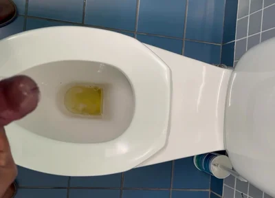 Jerking off in the Office Washroom