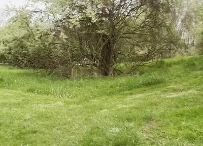 Jockstrap Park Tease: Muscular Asian Hunk Flexes, Fucks the Grass & Explodes in Cum