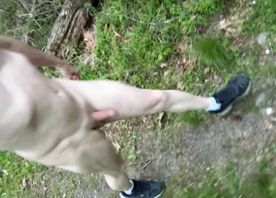 Very Risky Walk in the Open!
