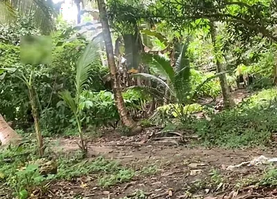 Young Pinoy Twink Jerks off Secretly Outdoors