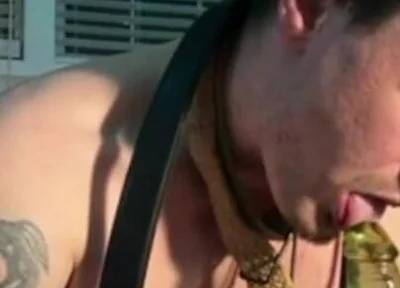 Tripped and Fell on Dildo
