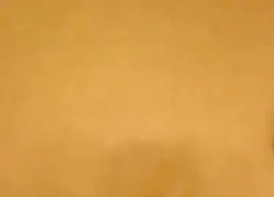Black Cock Shots