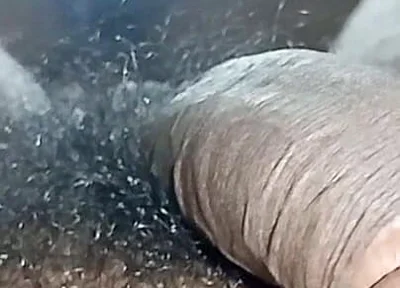 Tamil Wife Horny and Pussy Licking