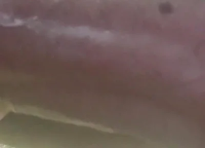 My Cock in a Vacuum