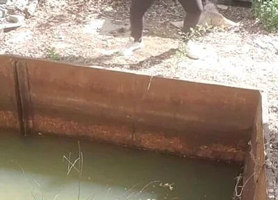 Playing Outdoors