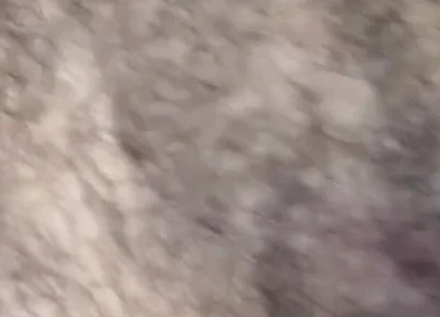 Some Fun Nipple Stuff for Titty Tuesday!
