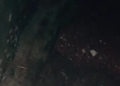 A Jerk off in Cold Weather During the Holidays to Warm up the Big Dick