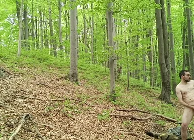 I Chase Him Through the Leaves