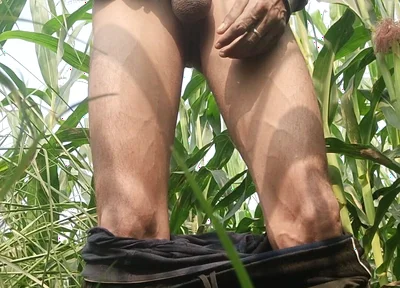 Big Cock Masturbation at Field in Outdoor