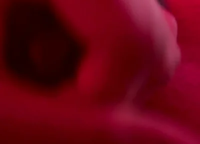 Red Golden Perish Golden Sperm Shot