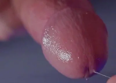 I Sucked the Cameraman's Huge Cock POV